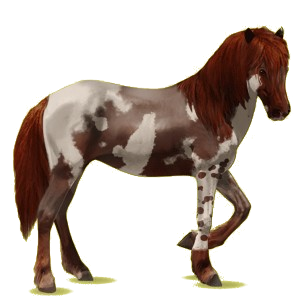 Cheval de selle Henson Isabelle