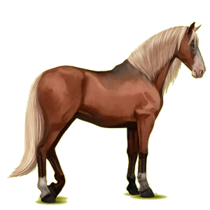 Cheval de selle Lusitanien Isabelle