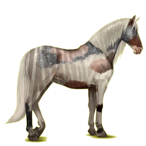 Cheval de selle Lusitanien Bai Brûlé