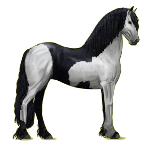 Cheval de selle Frison Noir