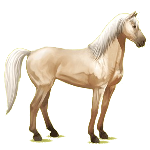 Cheval de selle Mustang Alezan Brûlé