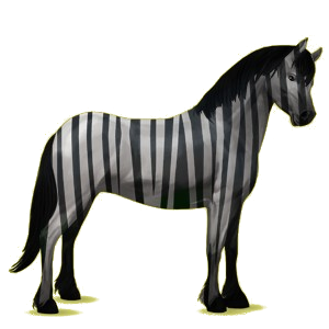 Poney pégase New Forest Noir