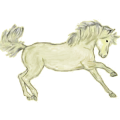 Poney Welsh Rouan