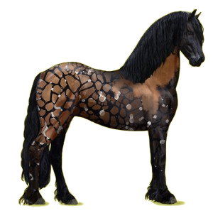 Cheval de selle Frison Noir