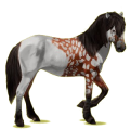 Cheval de selle Camargue Gris Pommelé