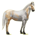 Cheval de selle Paint Horse Pie Tobiano Alezan