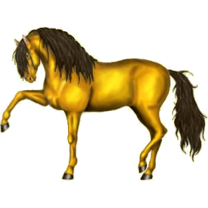 Cheval de selle Arabe Rouan