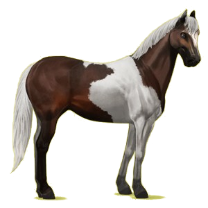 X