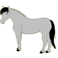 Poney Highland Pony Gris Souris