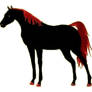 Cheval de selle Selle Français Gris Souris