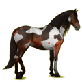 Cheval de selle Lipizzan Gris Clair