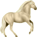 Cheval de selle Quarter Horse Noir