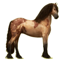 Cheval de selle Frison Noir