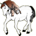 Cheval de selle Quarter Horse Alezan