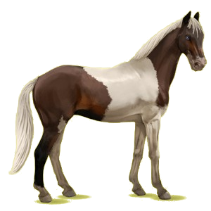 X