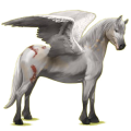 Poney pégase Quarter Pony Cremello