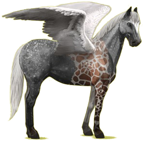 Pégase de selle Quarter Horse Rouan