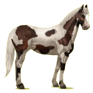 X