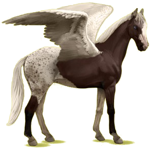 X
