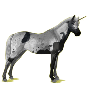 Poney licorne Welsh Gris Pommelé