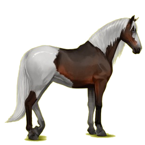 Cheval de selle Lipizzan Gris Clair
