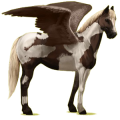 Pégase de selle Paint Horse Pie Overo Bai
