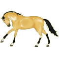 Cheval de selle Quarter Horse Palomino