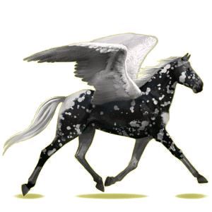 Pégase de selle Morgan Bai