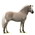 Poney pégase Fjord Brunblakk
