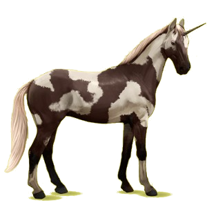 Licorne de selle Trakehner Bai Brûlé