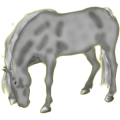 Cheval de selle Paso Péruvien Gris Souris