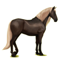 Cheval de selle Gris Clair