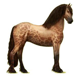 Cheval de selle Frison Noir