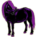 Poney Dartmoor Noir