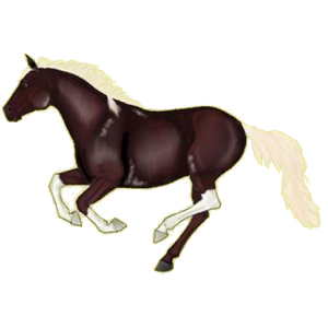 Cheval de selle Hanovrien Bai