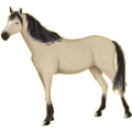 Cheval de selle Henson Bai