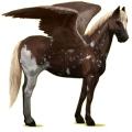 Pégase de selle Quarter Horse Cremello