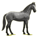 Cheval de selle Trakehner Alezan