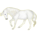 Cheval de selle Arabe Gris Clair