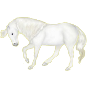 Cheval de selle Lipizzan Gris Clair