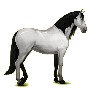 Pégase de selle Lipizzan Gris Clair