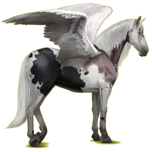 Pégase de selle Lipizzan Gris Clair