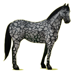 Pégase de selle Quarter Horse Noir