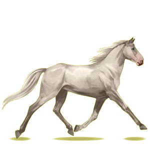 Cheval de selle Trotteur Américain Alezan