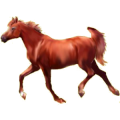 Cheval de selle Trotteur Français Alezan