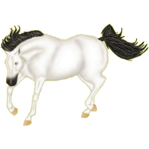 Cheval de selle Quarter Horse Rouan