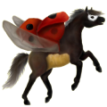 Pégase de selle Quarter Horse Bai Cerise