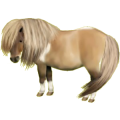Poney Bai