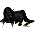 Cheval de selle Appaloosa Few Spots Noir