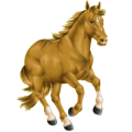 Pégase de selle Quarter Horse Rouan